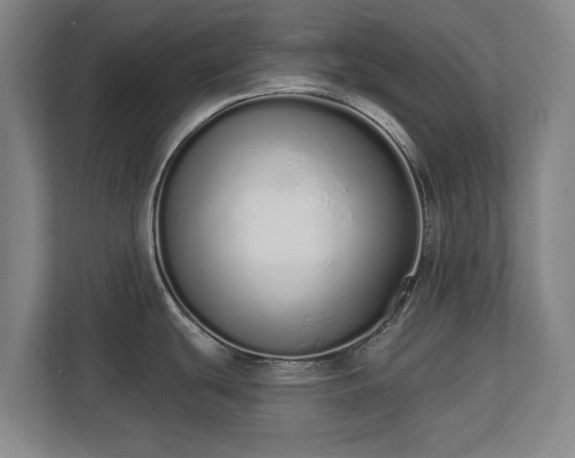 X0000112721439200908271358