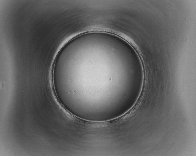 X0000112721440200908271358