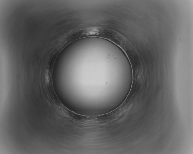 X0000112721442200908271357