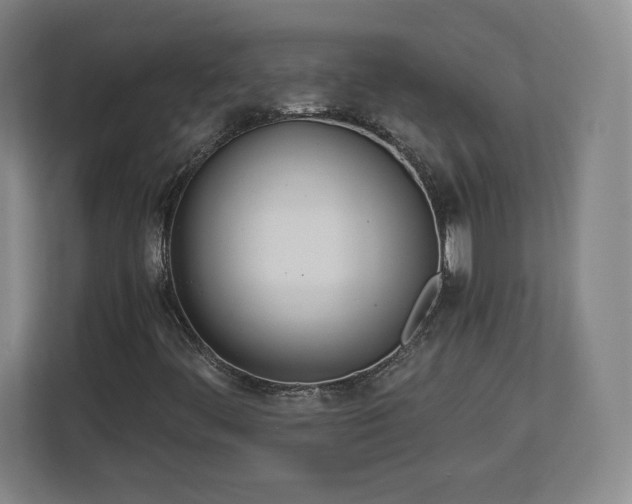 X0000112721444200908271357