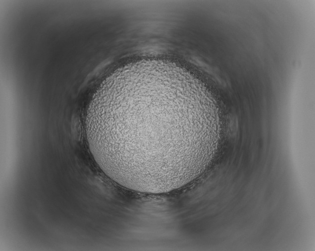 X0000112721446200908271357