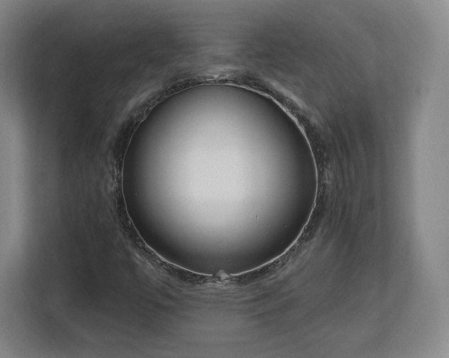 X0000112721447200908271357