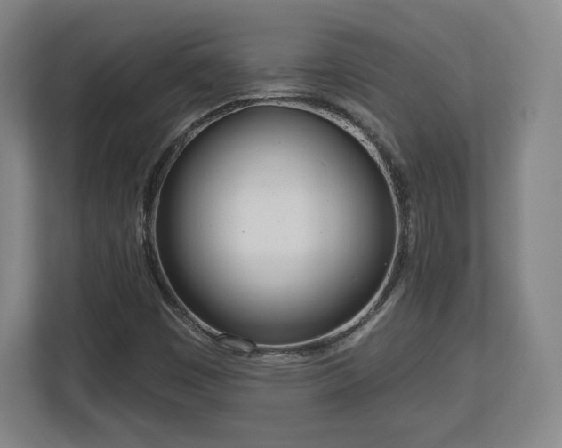 X0000112721449200908271357