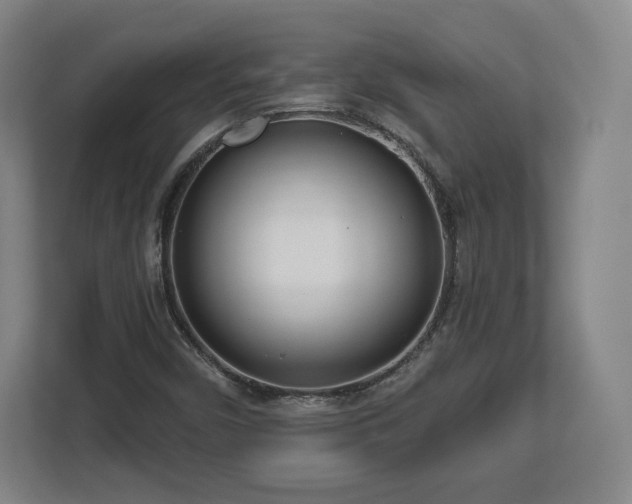 X0000112721450200908271357