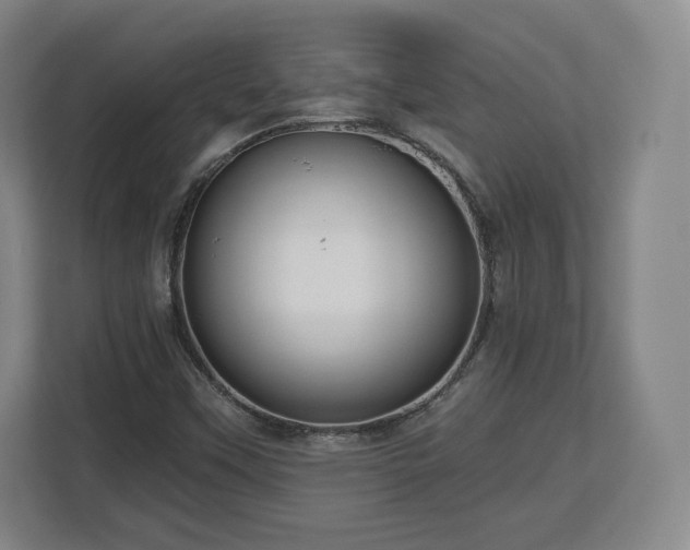 X0000112721451200908271357