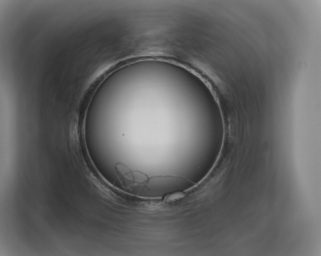 X0000112721452200908271357