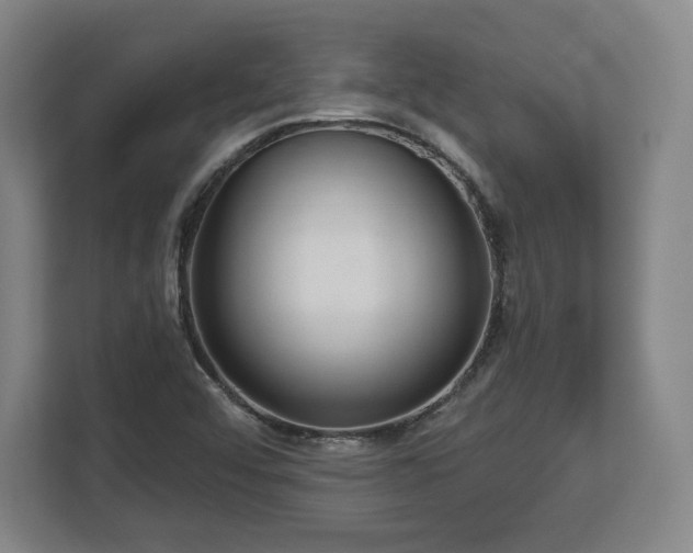 X0000112721456200908271357