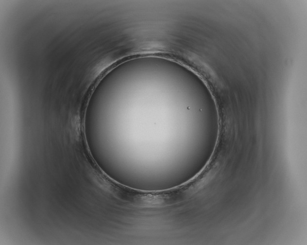 X0000112721457200908271357