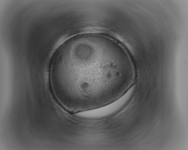 X0000112721459200908271357