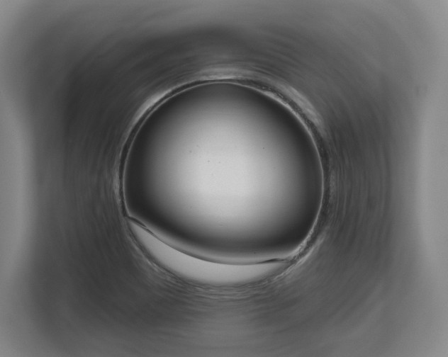 X0000112721465200908271357