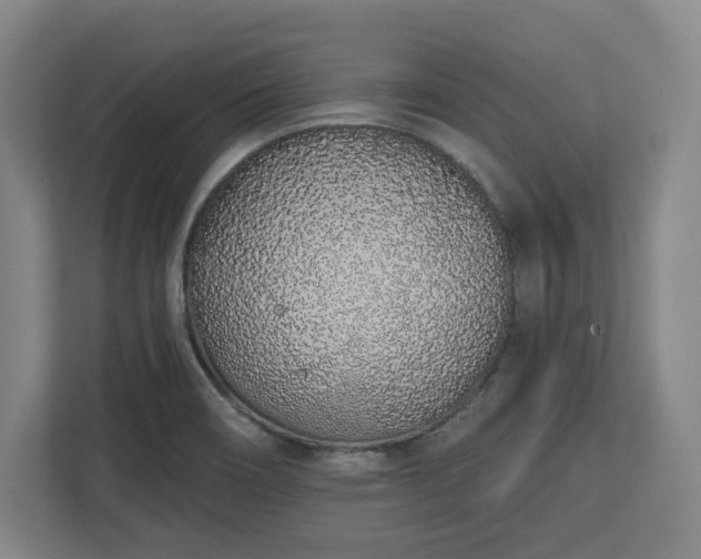 X0000112721466200908271357