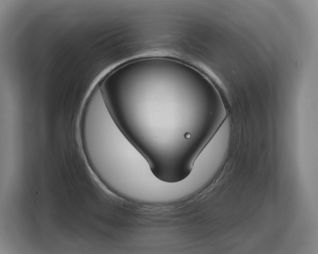 X0000112721468200908271357