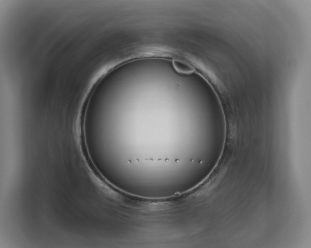 X0000112721471200908271357