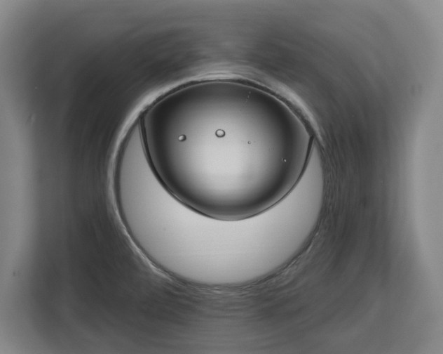 X0000112721472200908271357