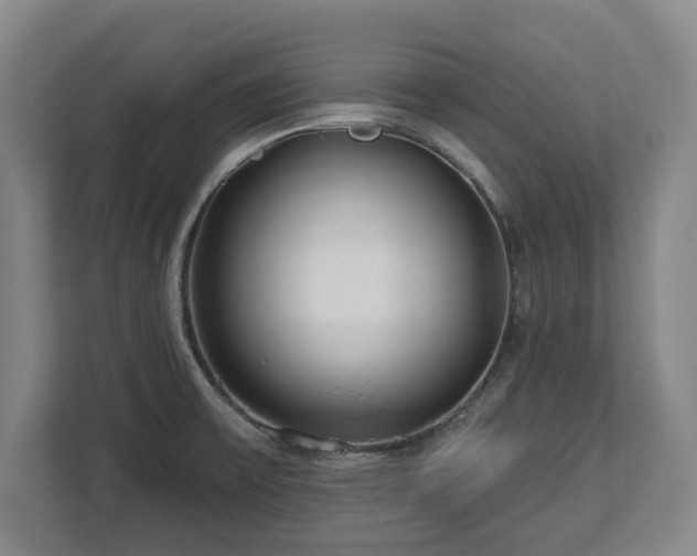 X0000112721475200908271356