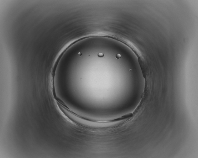 X0000112721476200908271356