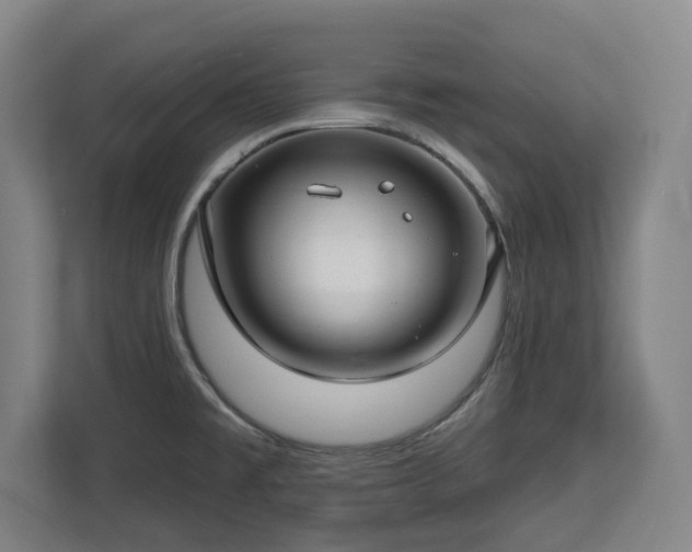 X0000112721477200908271356