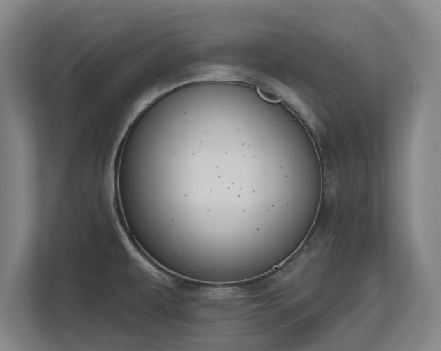 X0000112721479200908271356