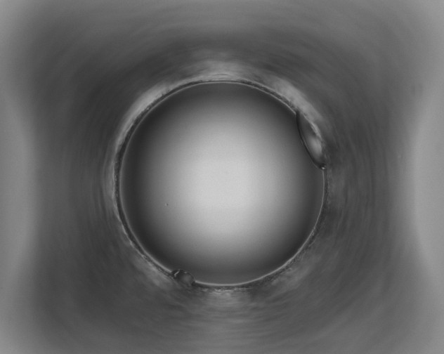 X0000112721480200908271356