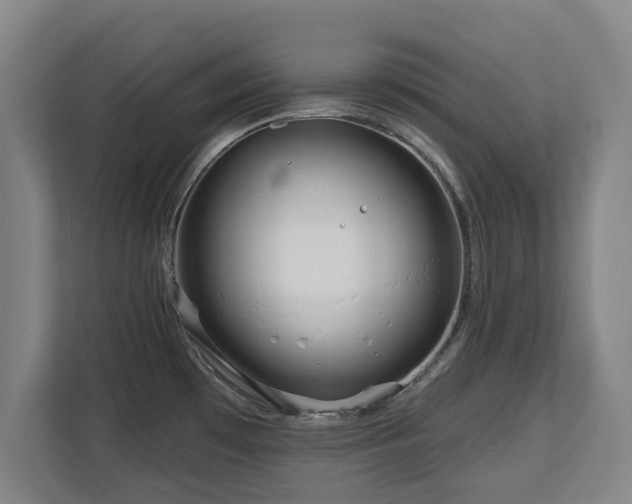 X0000112721481200908271356