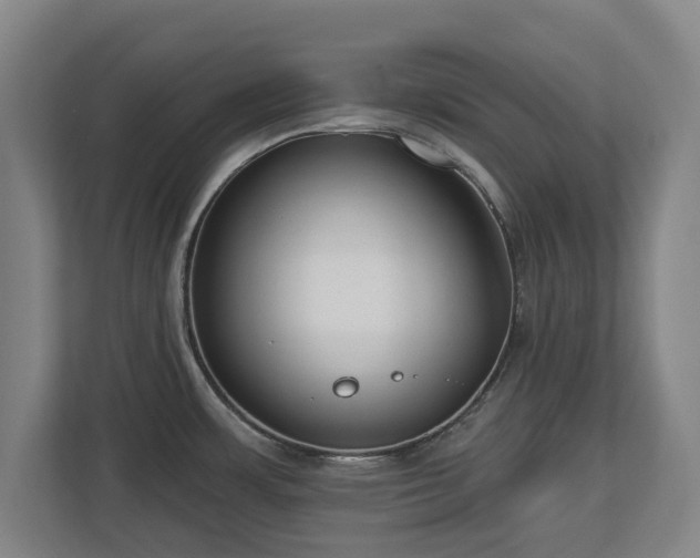 X0000112721483200908271356