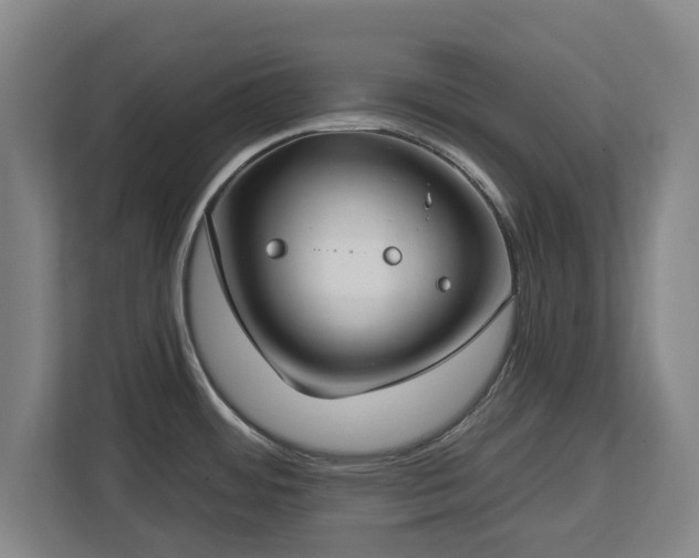 X0000112721484200908271356