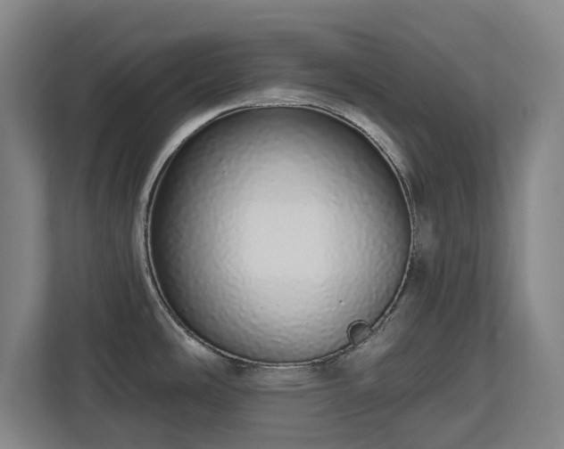 X0000112721486200908271356