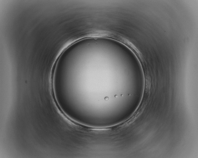 X0000112721487200908271356