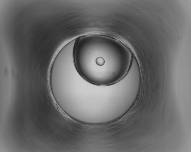 X0000112721488200908271356