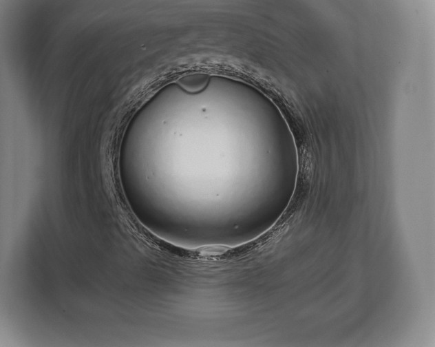 X0000112721489200908271356