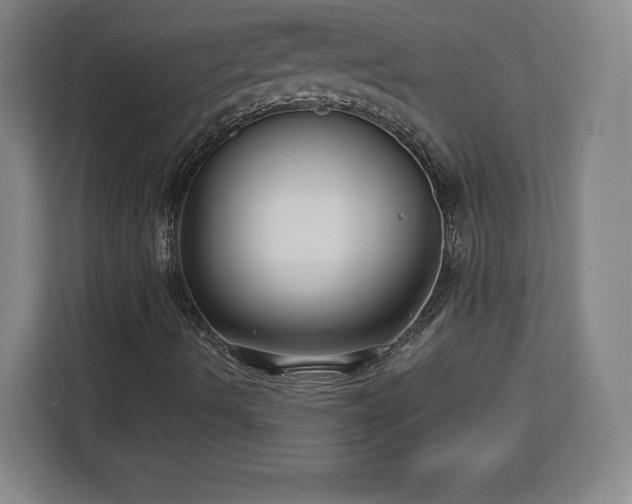 X0000112721490200908271356