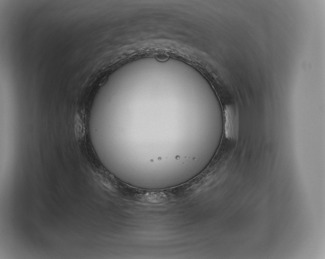 X0000112721491200908271356