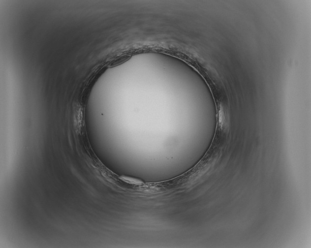 X0000112721492200908271356