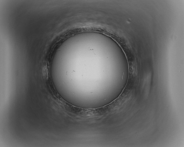 X0000112721493200908271356