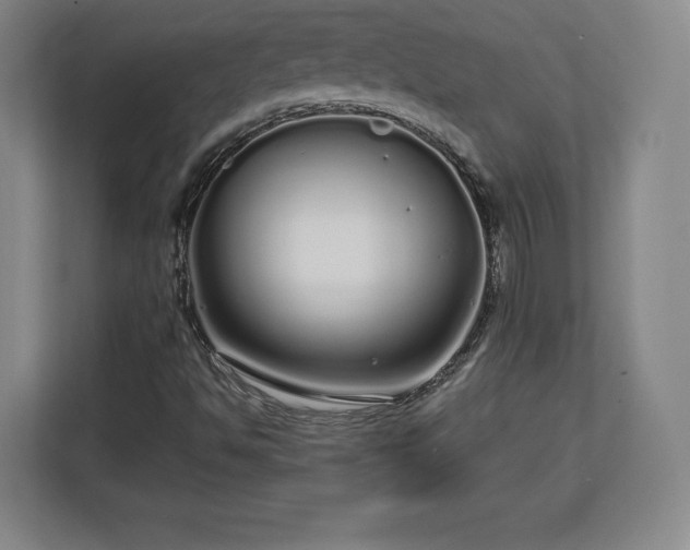 X0000112721494200908271356