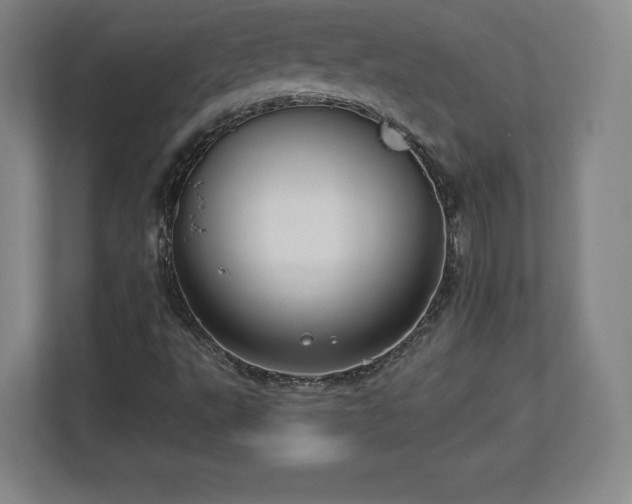 X0000112721495200908271356