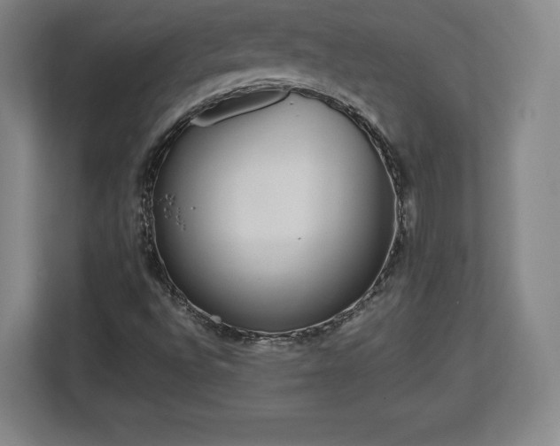 X0000112721496200908271356