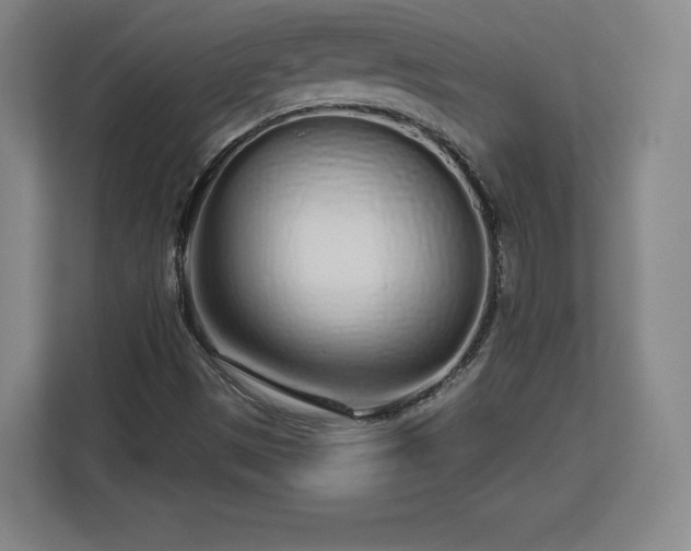 X0000112721497200908271356