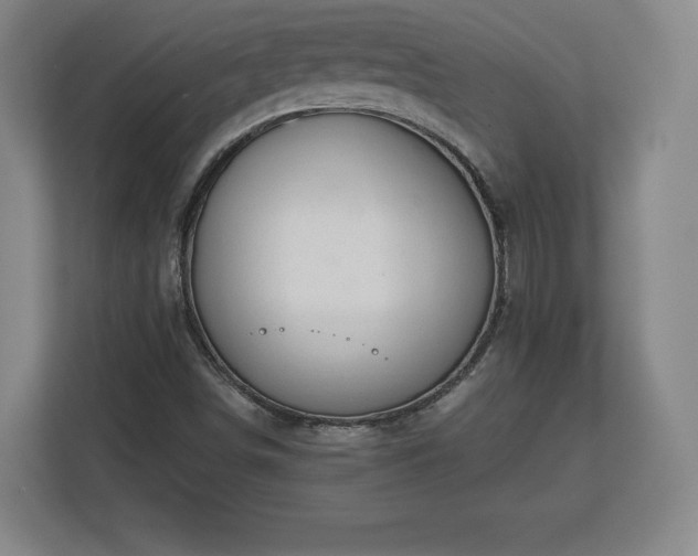 X0000112721498200908271356