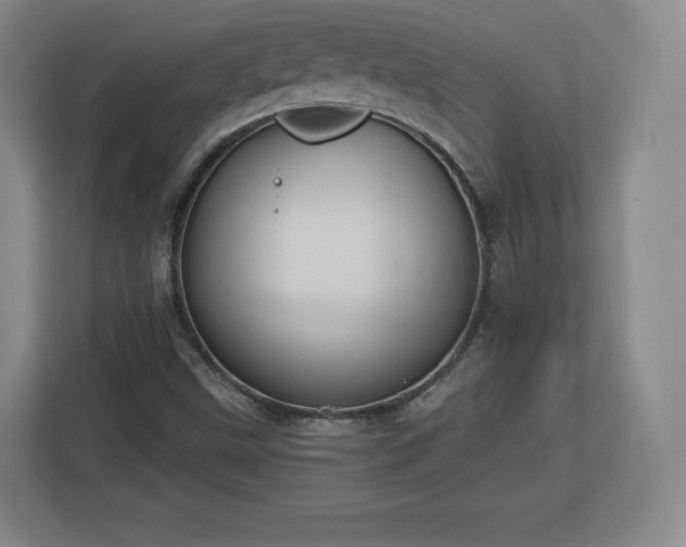 X0000112721499200908271356