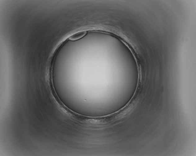 X0000112721500200908271356