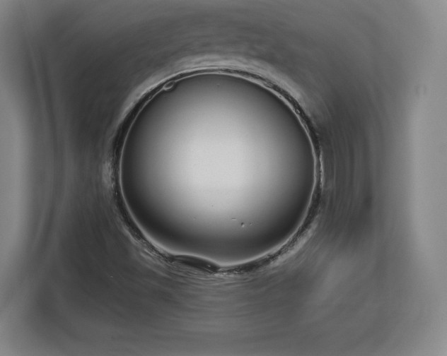 X0000112721501200908271356