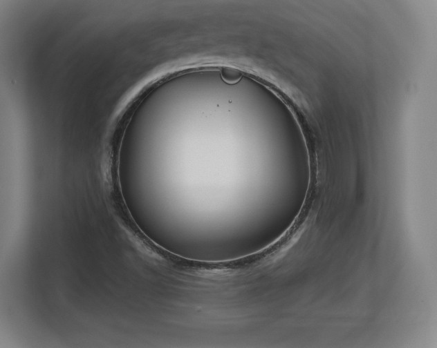 X0000112721502200908271356