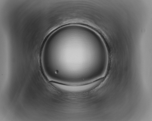 X0000112721505200908271356