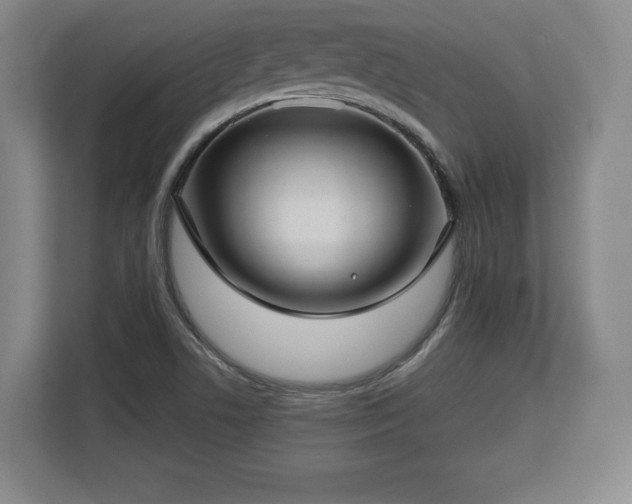 X0000112721506200908271356