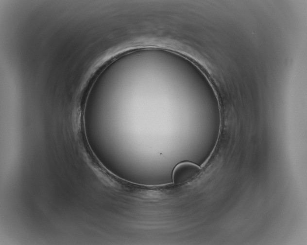 X0000112721507200908271356