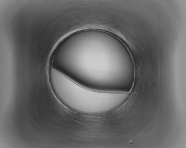 X0000112721508200908271356