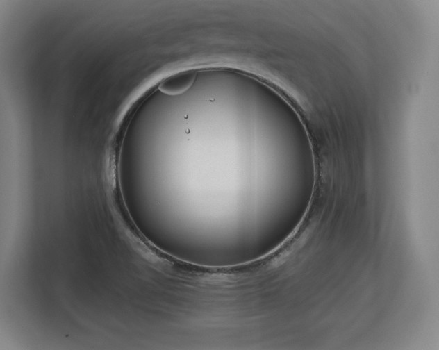 X0000112721510200908271356