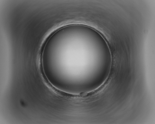 X0000112721511200908271356