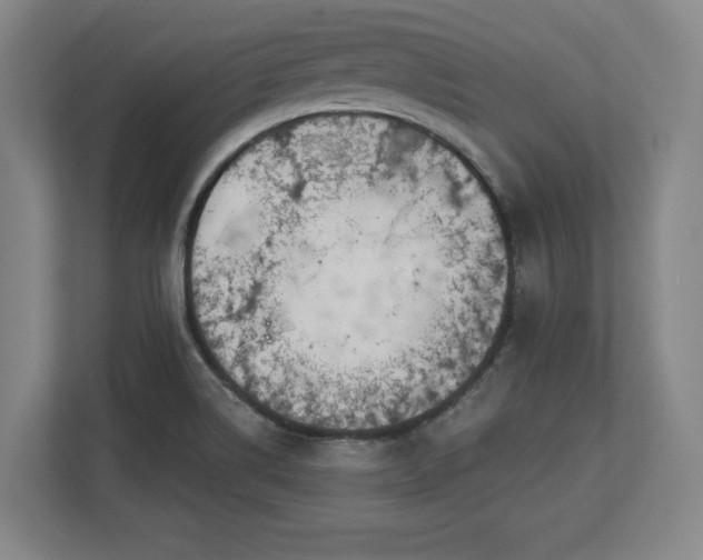 X0000112721514200908271356